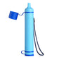 Greeshow Portable Water Filter Straw, Personal Water Filtration System with Replaceable Cartridge, 0.01 Micron Survival Water Purifier Gear for Hiking, Camping, Travel & Emergency Prep, 1 Pack - Greeshow Direct